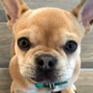 Meet your Posher, Chelsea